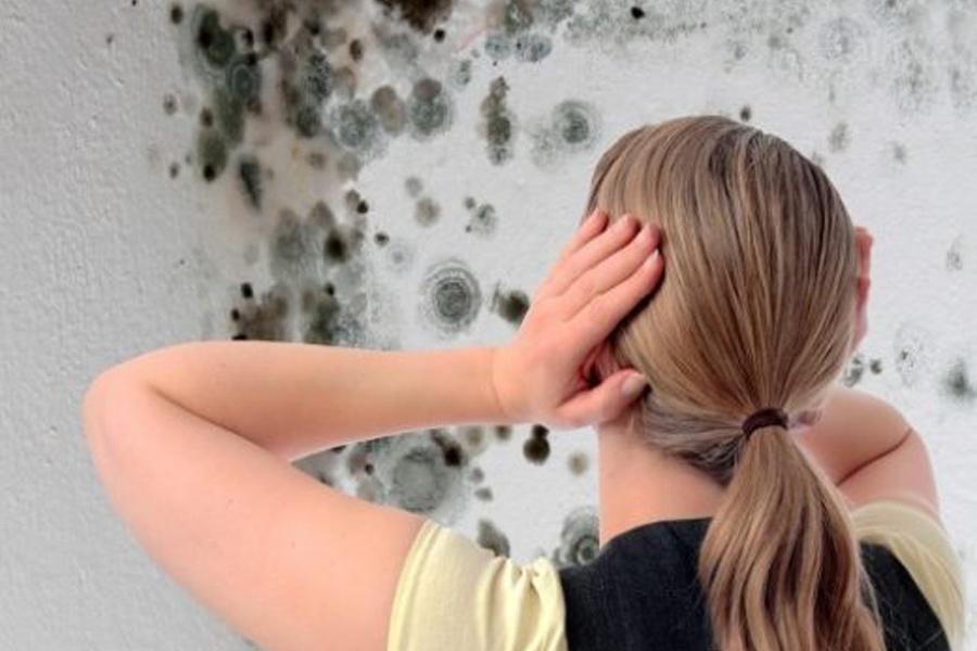 Dịch vụ tẩy mốc trần tường